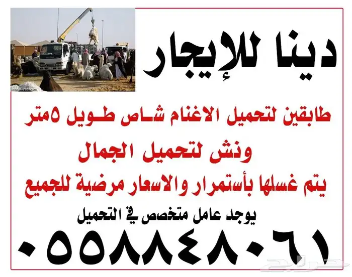 دينا ونش عقلة الصقور القصيم طابقين 0