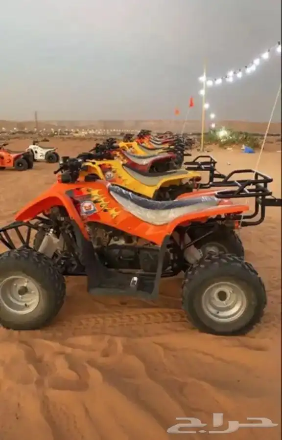 تاجير دبابات و خيل 3