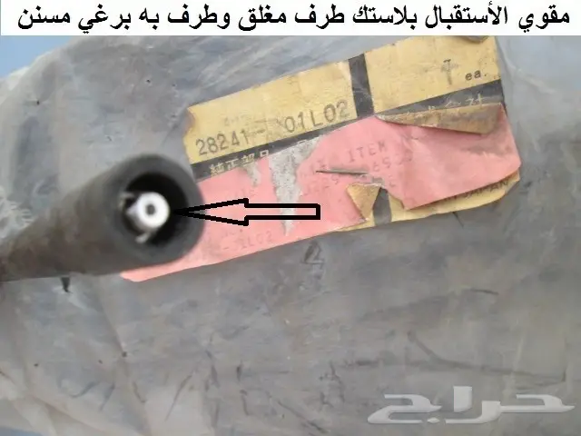 أريل لوريل 82 - 84 16