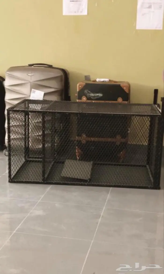 اقفاص ذياب كلاب ثعالب 2