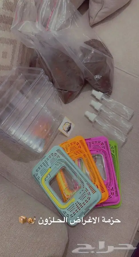 حلزون الافريقي العملاق متوفر تمارا 7