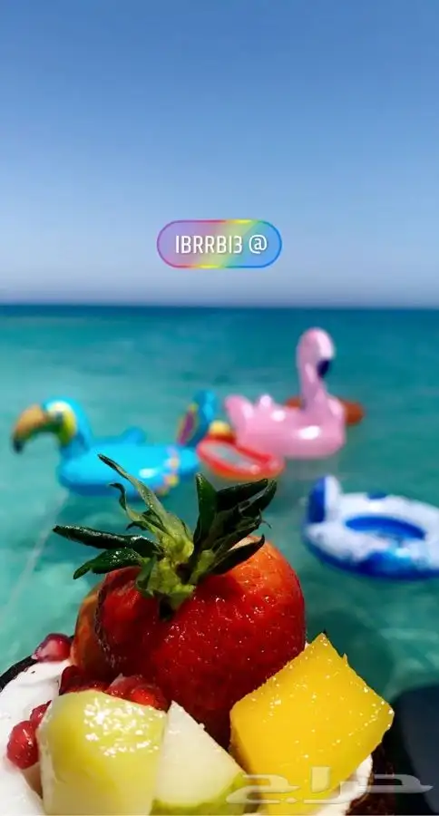 رحلات بحرية سباحة استرخاء العاب بياضه مالديف جدة 1000 2