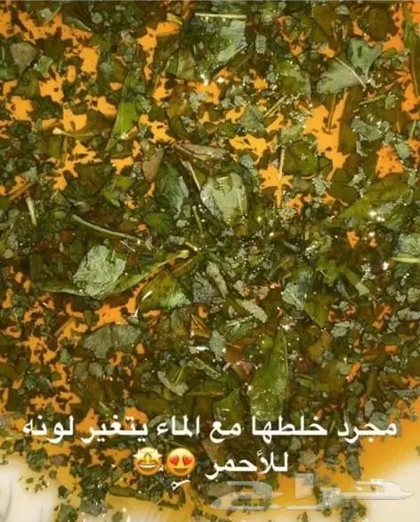 حناء مزرعة ام نواف الطبيعية 2