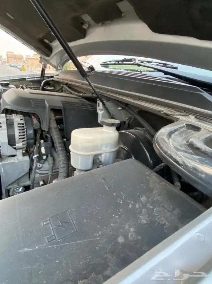 يوكون طويل بدون دبل ( تم البيع) 25