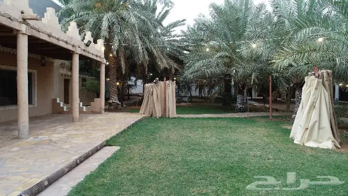 مزرعه ومنتجع فالنسيا للاجار غرب بريدة -اللسيب 5