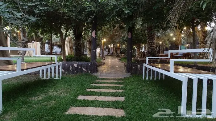 مزرعه ومنتجع فالنسيا للاجار غرب بريدة -اللسيب 0