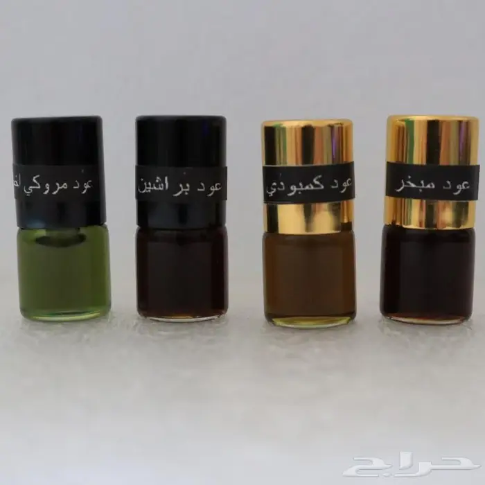 حقيبة النانو تولة 1