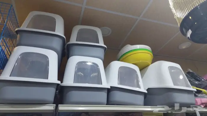 طيور الحب بادجي وزيبرا 9