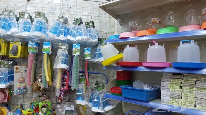 طيور الحب بادجي وزيبرا 14