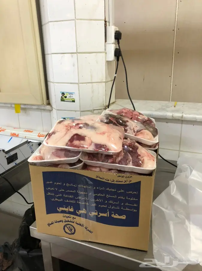 يوجد جذعان طيبه 2