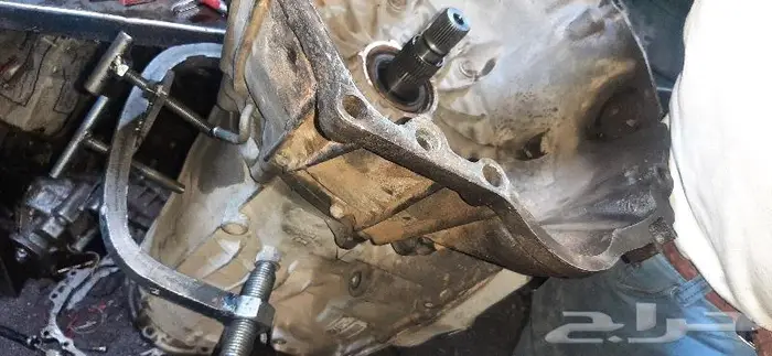 توظيب قيرات و قيرات شد بلد ضمان سنه 10