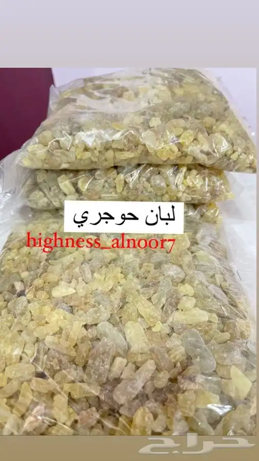 لبان حوجري 0
