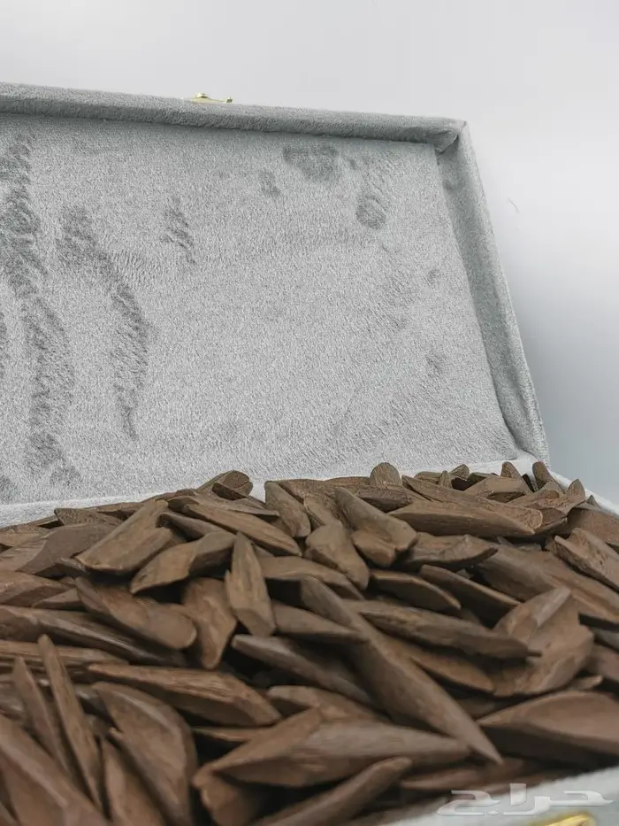 موروكي ممتاز درجة اولي 1