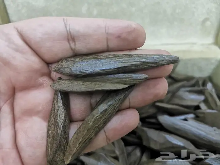 موروكي ممتاز درجة اولي 0