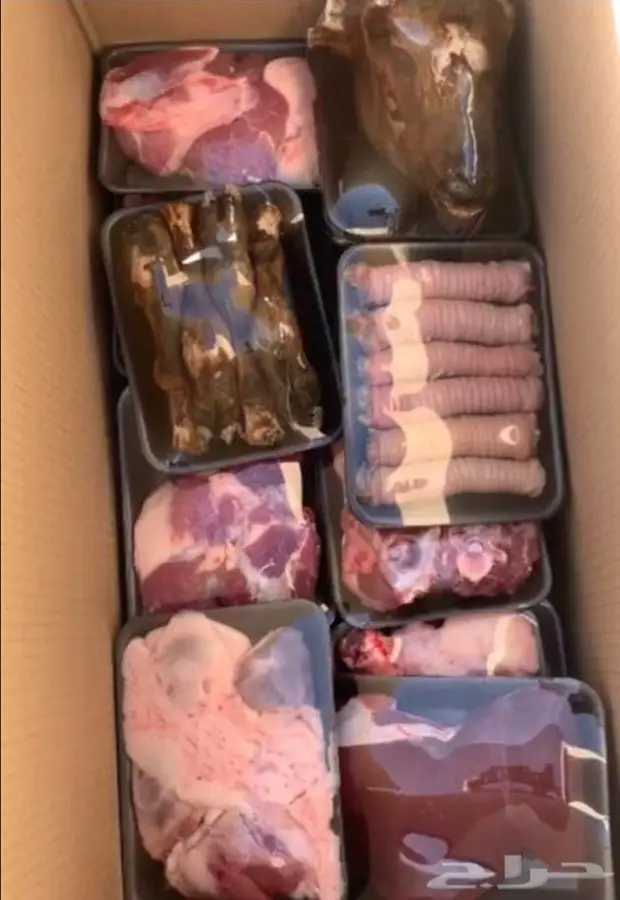 خرفان بريه 2