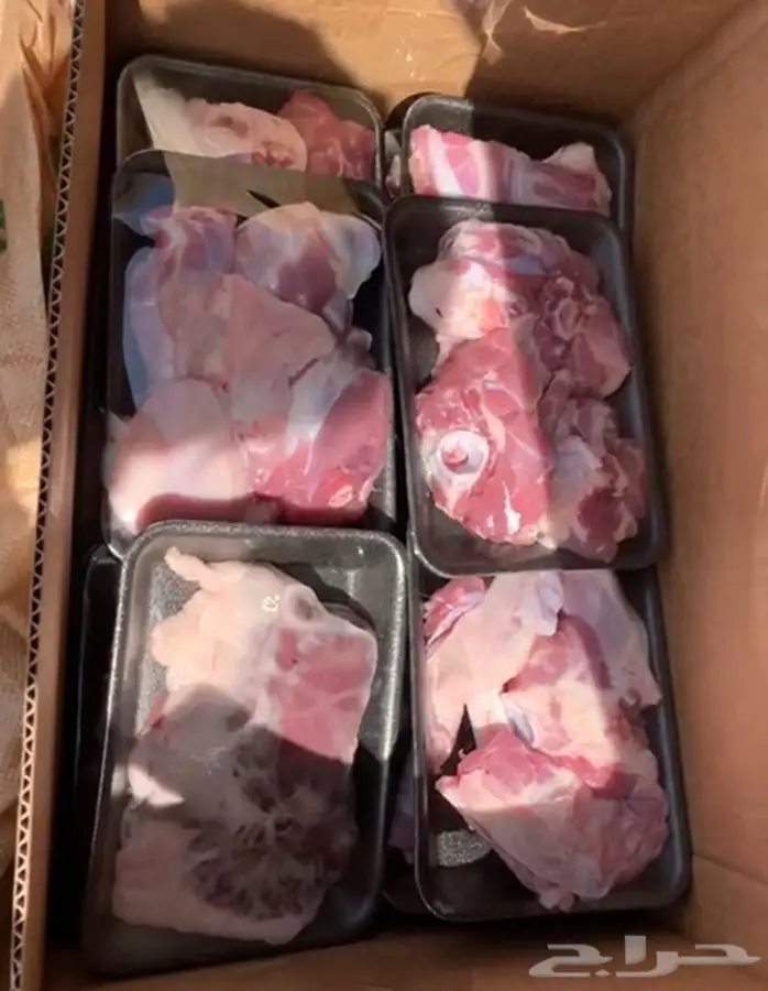 خرفان بريه 1