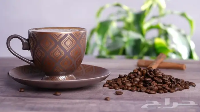 تصوير فيديو فوتوغرافي للمنتجات المنوعة harf 1