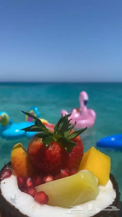 رحلات سباحه بياضه مالديف جدة 6