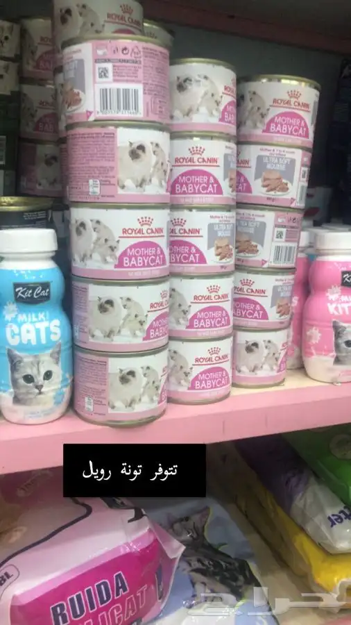 قطط طيور بيع جميع انواع الحيوانات اليفه يوجد توصيل 2