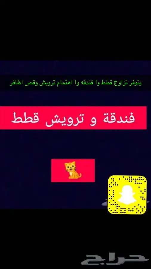 قطط طيور بيع جميع انواع الحيوانات اليفه يوجد توصيل 4