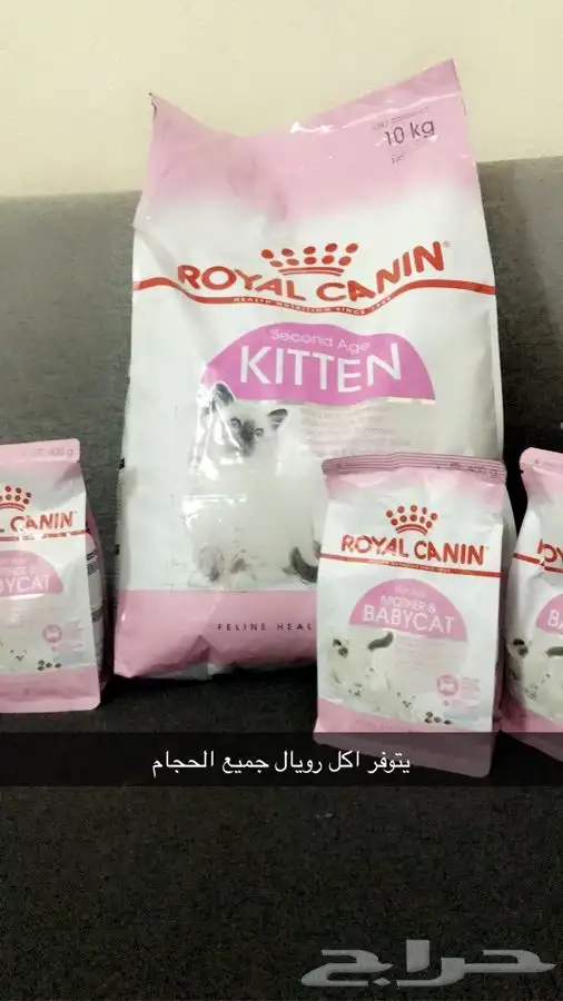 قطط طيور بيع جميع انواع الحيوانات اليفه يوجد توصيل 3