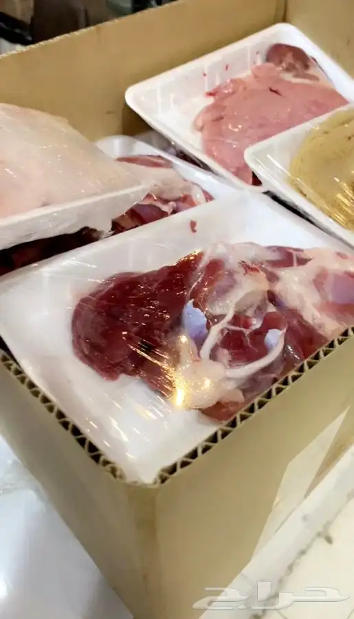 ذبايح بريه 4