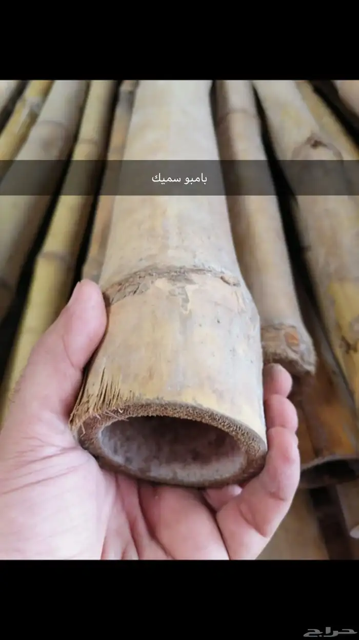 خوص حصير 0