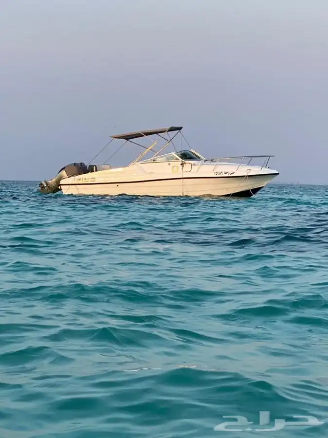 مالديف جدة 1