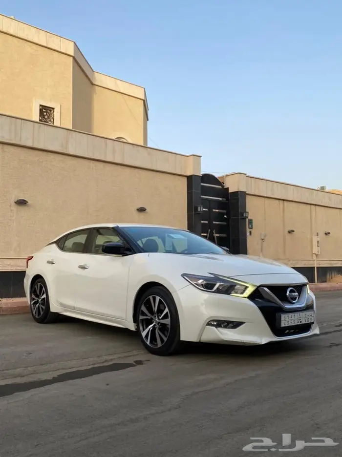 ماكسيما 2016 ( تم البيع ) 1