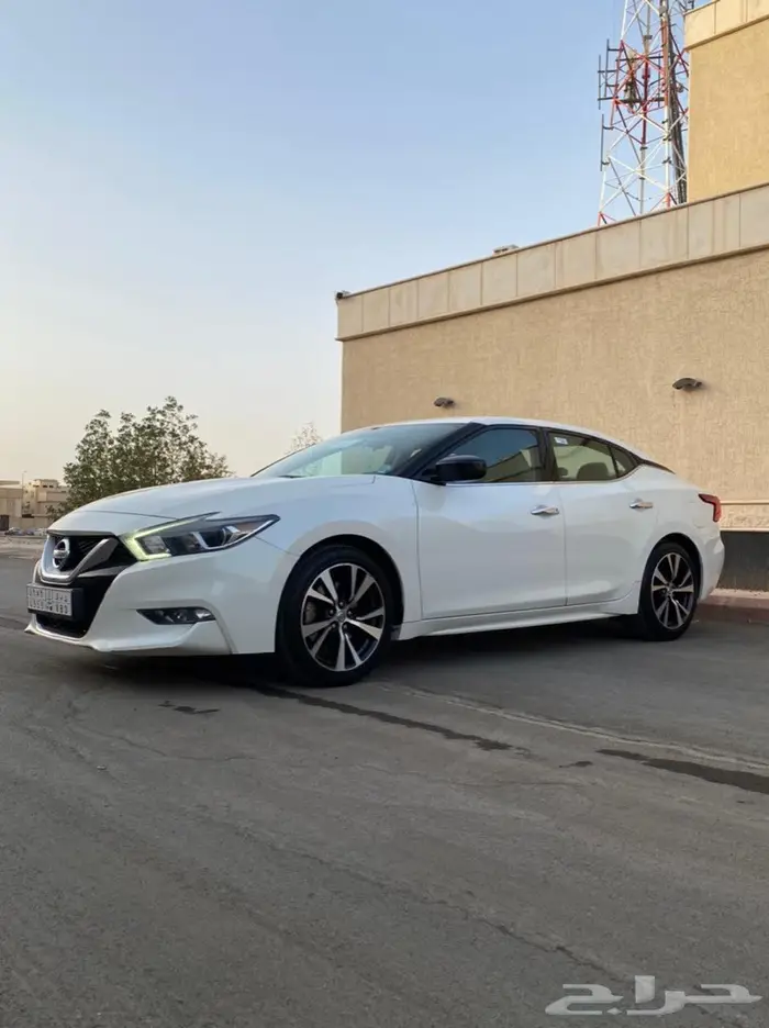 ماكسيما 2016 ( تم البيع ) 2