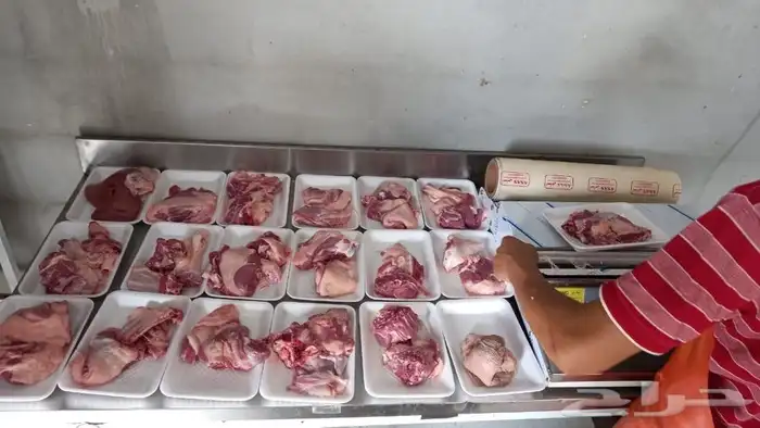 ذبايح طليان رخال تيس اي ملاحظه في الذبيحة لاتحاسب. (مشاوي ) 1