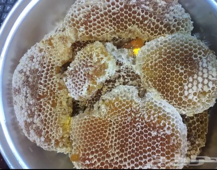 عسل السدره الجبلي وعسل سمر والطلحه والملكي 6