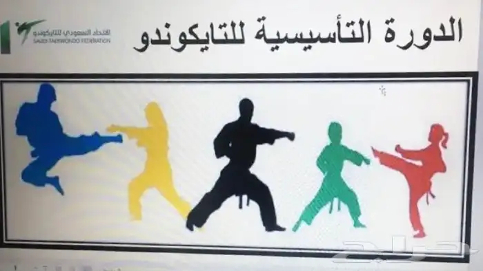 مدرب تايكوندو ودفاع عن النفس ( شخصي ) للصغار والكبار 0