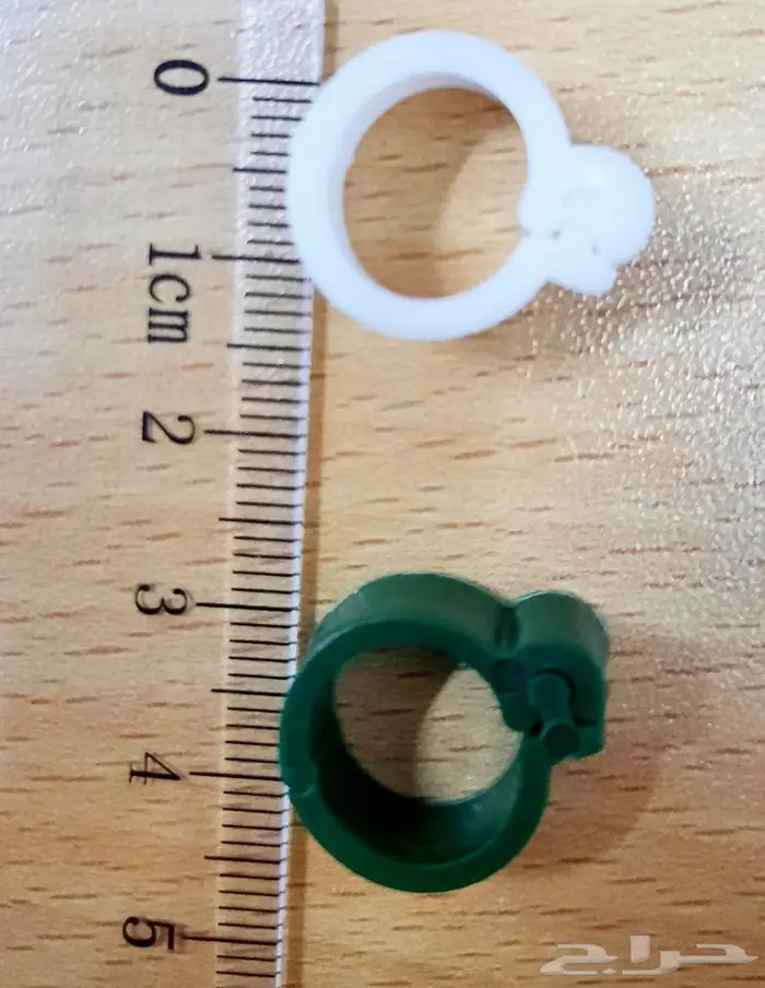 حجول بلاستيك مقاس 11 غير مرقم حجول دجاج بلدي 2