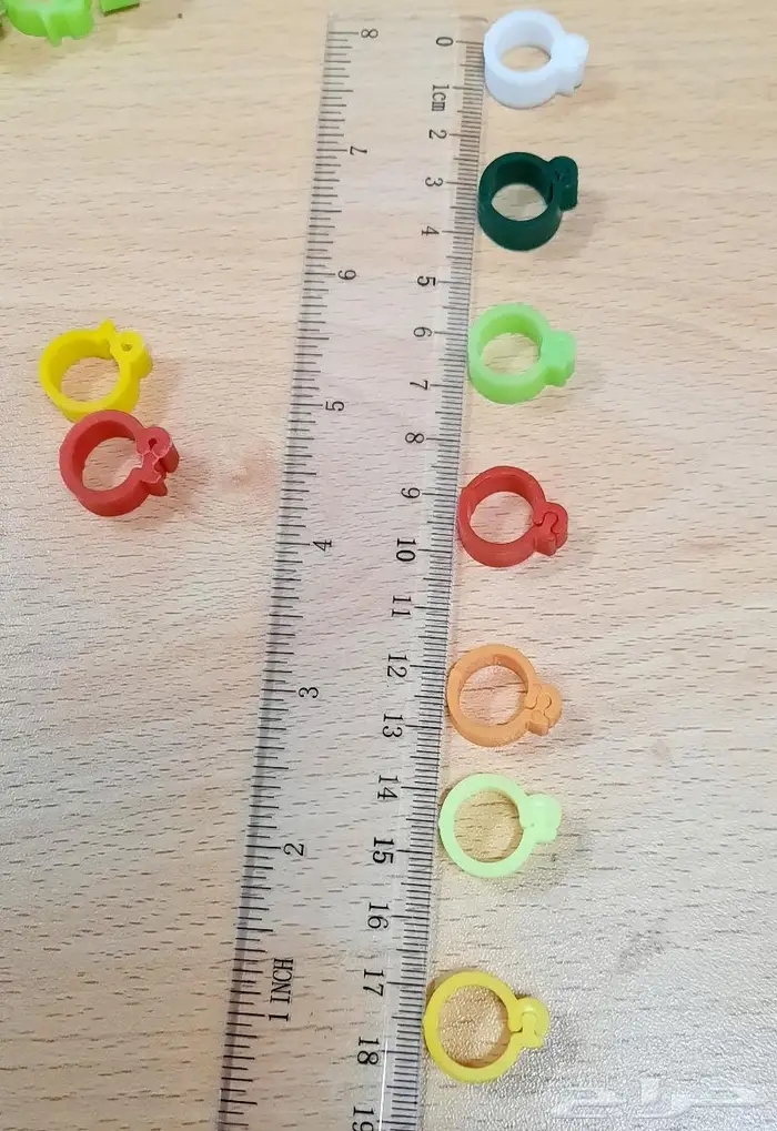 حجول بلاستيك مقاس 11 غير مرقم حجول دجاج بلدي 3