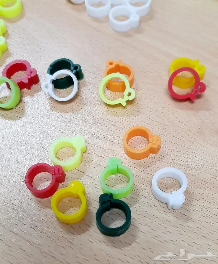 حجول بلاستيك مقاس 11 غير مرقم حجول دجاج بلدي 1