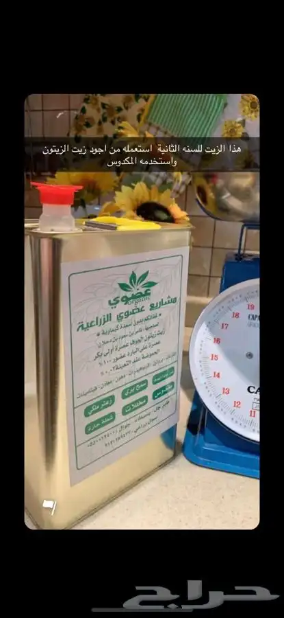 زيت زيتون الجوف عضوي تقليدي 1446هجري16لتر750ريال شامل الشحن 14