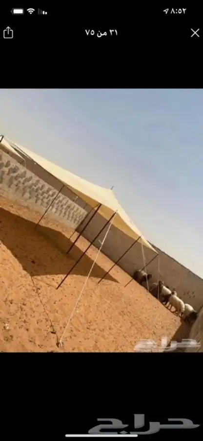 للبيع بيوت الشعر والخيام وكل لوازم البر 69