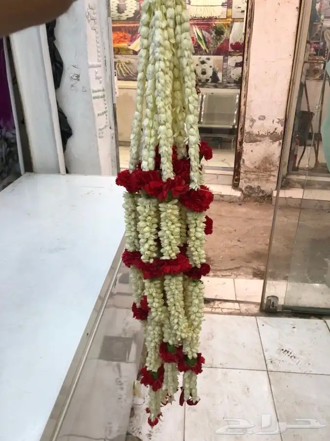 فل عقود للعرسان وورود طبيعيه وشتلات للتواصل اتصال أوواتساب 20