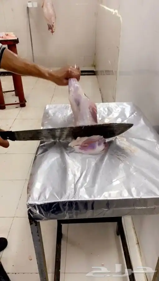 غنم ذبايح ضيوف وثلاجة حري وتيوس طليان 5