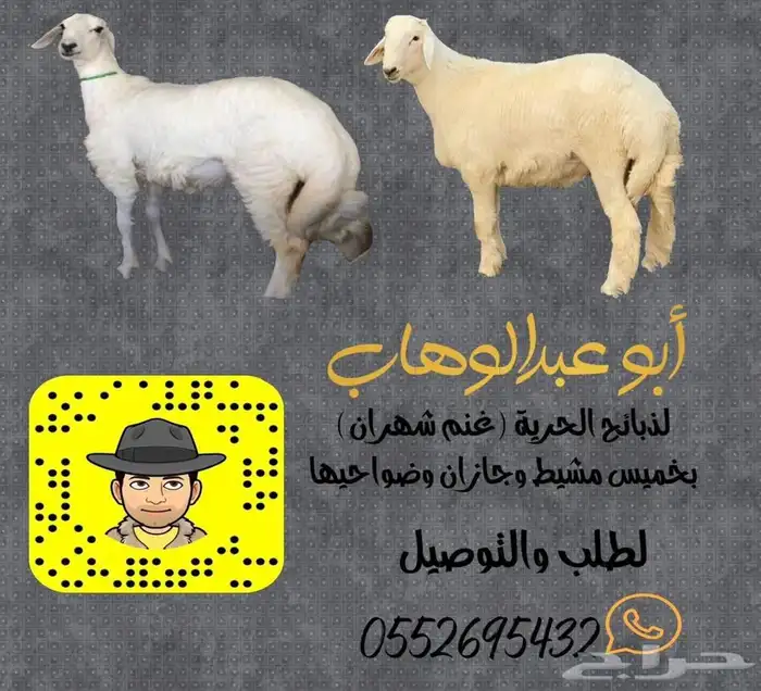 ذبايح خرفان رخال حريه من غنم شهران تابع تقييم 3