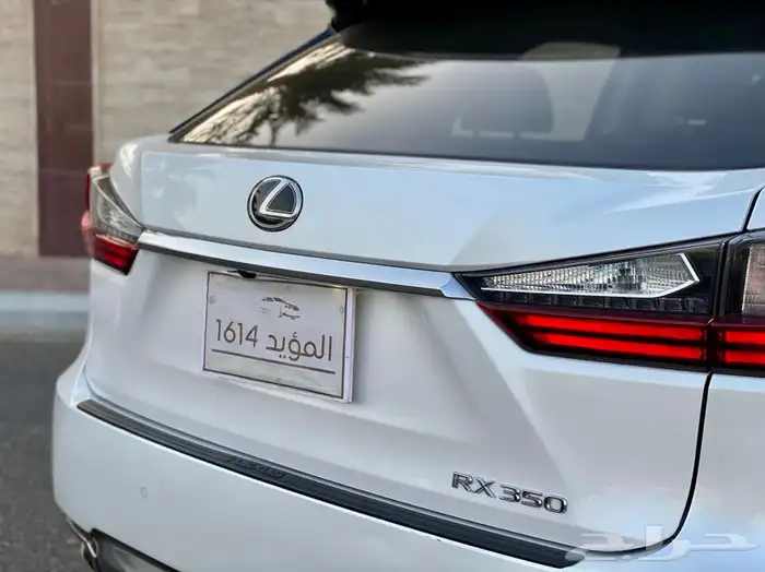 تم البيع 19