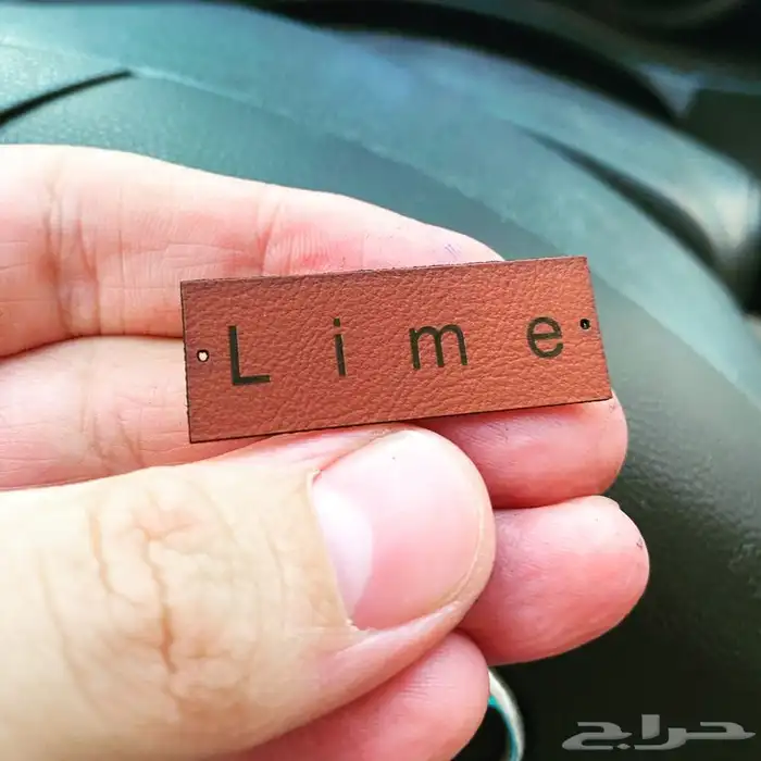 بوكسات ليبل تاق لوقو جلد أكياس فساتين 9