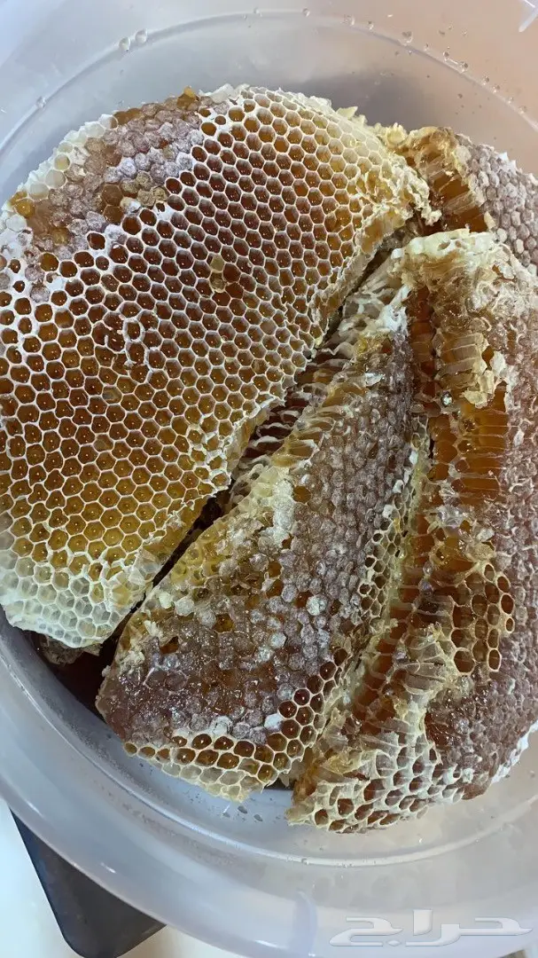 عرض خاص اليوم 3