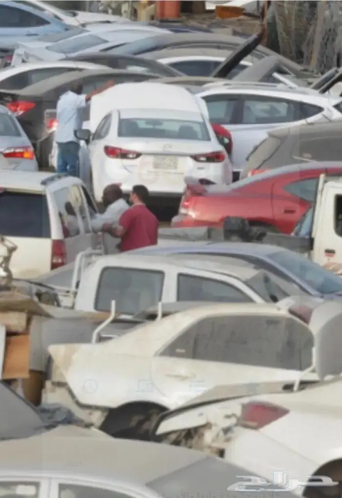 مندوب تشاليح الحاير والسلي 0
