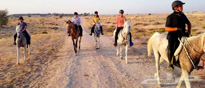 رحلة بي الخيل على البحر 4