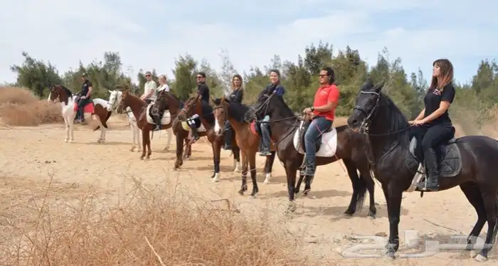 رحلة بي الخيل على البحر 1