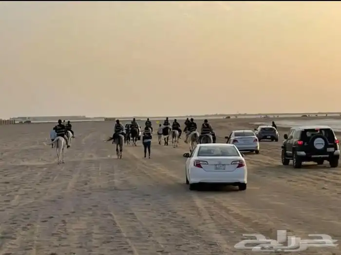 رحلة بي الخيل على البحر 3