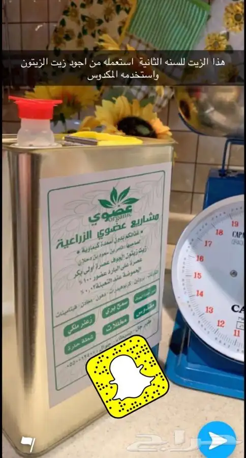 زيت زيتون الجوف عضوي تقليدي 1446هجري16لتر750ريال شامل الشحن 1