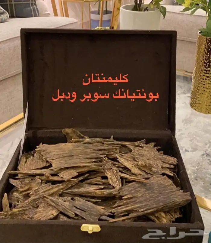 دقة مروكي اصقون جملة 4700 ريال الكيلو 0
